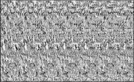 stereogram.jpg
